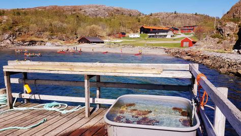 Utsikt over leirskolen fra brygga
