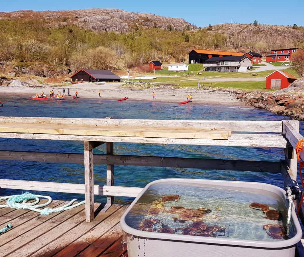 Utsikt over leirskolen fra brygga