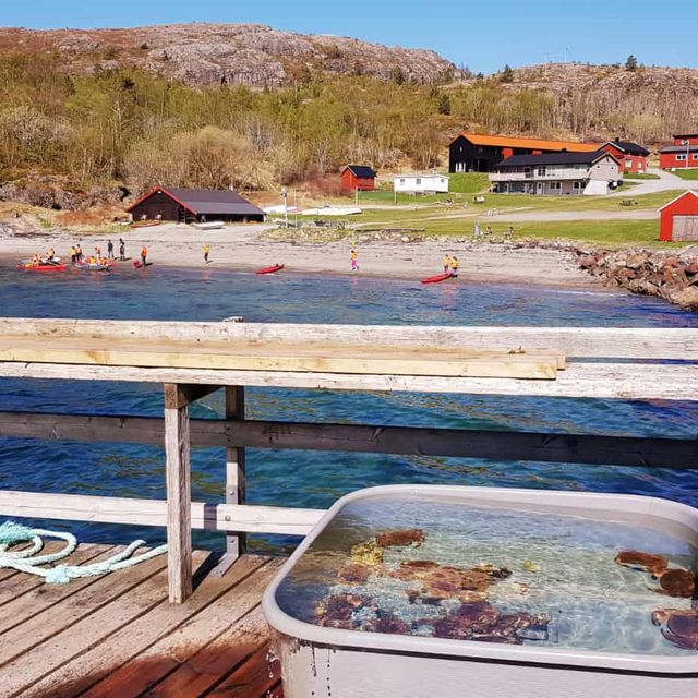 Utsikt over leirskolen fra brygga